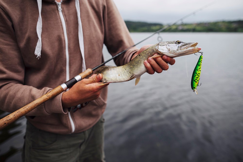 Fishing seasons In Ontario