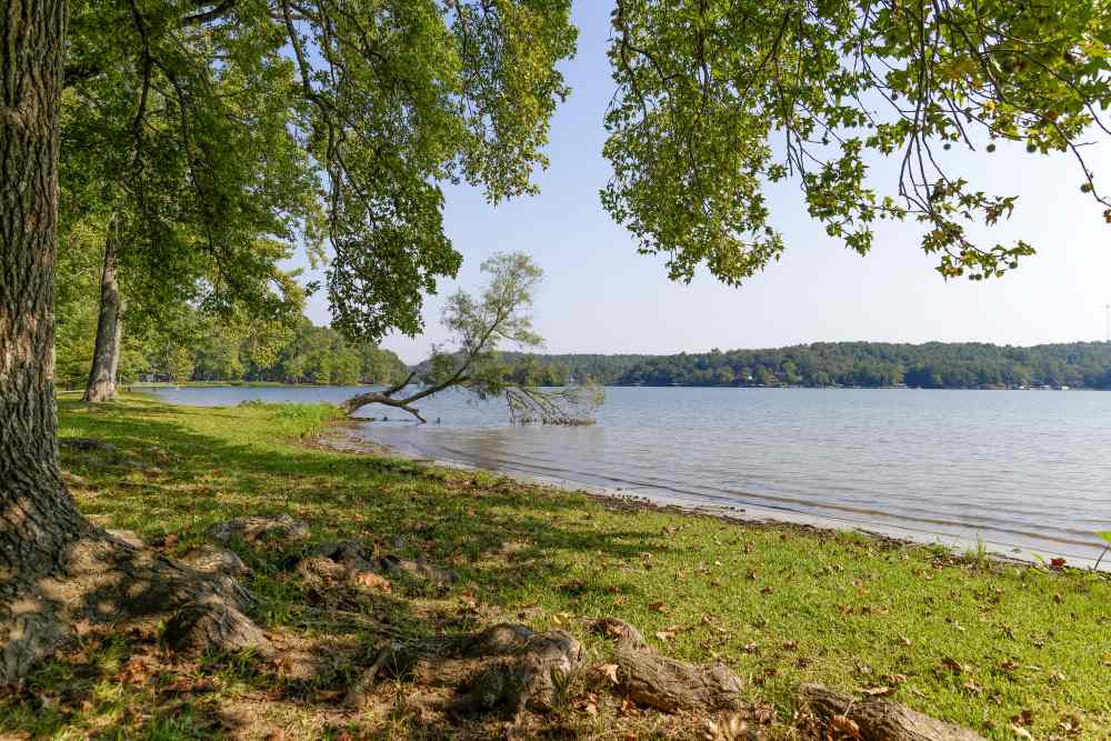Algonquin Lakeside