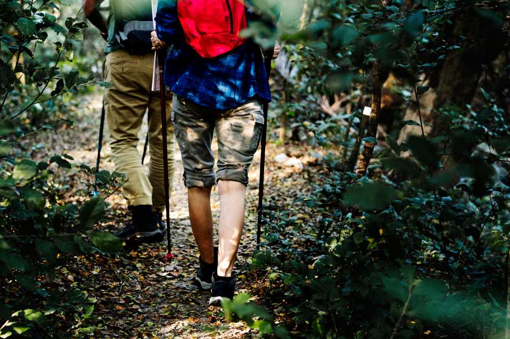 Hiking Trails
