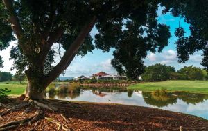 Canoeing in Algonquin