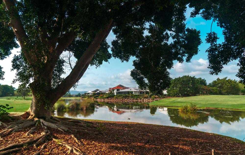 Canoeing in Algonquin