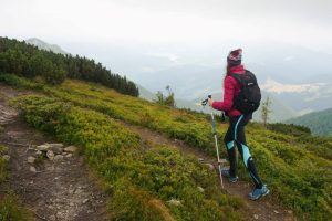 Best Hiking Trails